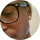 josh Johnson Avatar